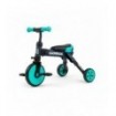Tricycle 2 en 1 Milly Mally Grande Mint