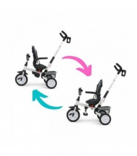 Tricycle Milly Mally Stanley Rose