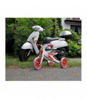 Draisienne 2 en 1 Milly Mally Look Racing