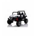 Buggy...