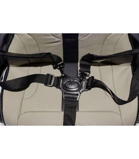 Voiture électrique 24V BMW M5 Gris Métallisé