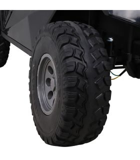 Voiture électrique 2 places 24V Buggy SX-1928 Noir - Pack Luxe