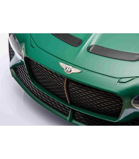 Voiture électrique 12V Bentley Bacalar Verte
