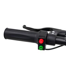 Quad électrique 48V Highper Vert