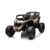 Buggy électrique 24V Maverick Noir - Pack Luxe