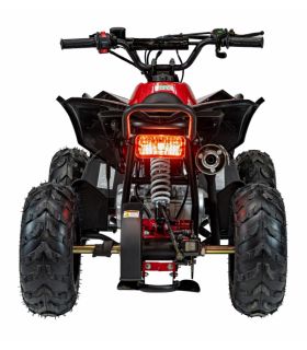 Pocket quad thermique 110CC Renegade Rouge - Pack Luxe