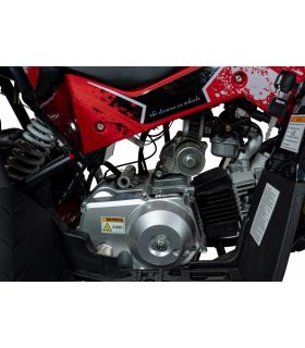 Pocket quad thermique 110CC Renegade Rouge - Pack Luxe