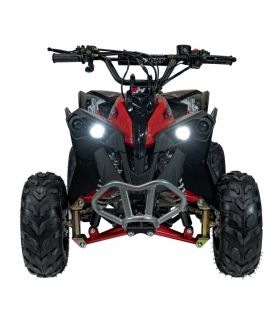 Pocket quad thermique 110CC Renegade Rouge - Pack Luxe