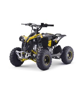 Pocket quad thermique 110CC Renegade Jaune - Pack Luxe