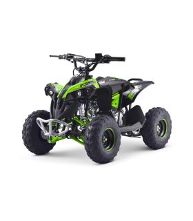 Pocket quad thermique 110CC Renegade Vert - Pack Luxe