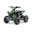 Pocket quad thermique 110CC Renegade Vert - Pack Luxe