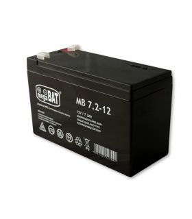 Chargeur pour voiture électrique 12V - 1500 mA